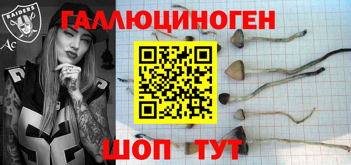 Псилоцибиновые грибы ЛСД  Вход с VPN  Карпинск  Галлюциногенные грибы GOLDEN TEACHER 