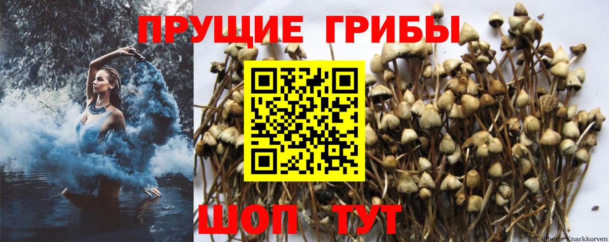 Амфетамин кристаллы  Cocaine  КОКАИН  ЭКСТАЗИ  Канабис  Вход с VPN  Карпинск  Канабис  ГАШ  Мефедрон кристаллы  МЕФ 