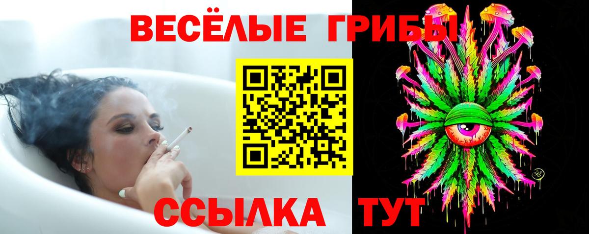 Псилоцибиновые грибы ЛСД Карпинск